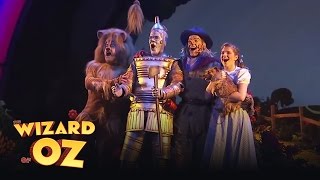 Montage - Toronto | The Wizard of Oz