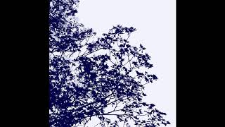 Glaswald - Ice Flowers (Full Album 2020)