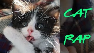 Cat Rap