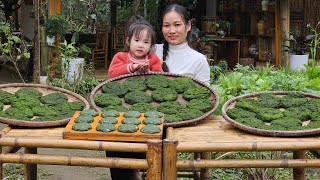 Harvesting Moss to Make Traditional Cakes | Ancient Village Cooking | Ly Phuc An
