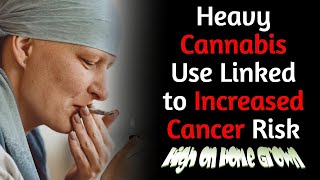 Shocking Study Reveals Heavy Cannabis Use Linked to Increased Cancer Risk