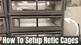 SET UP FOR PYTHON ENCLOSURE