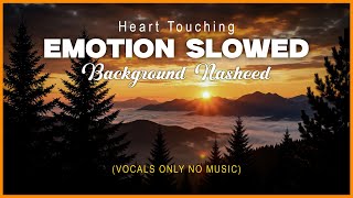 Emotion (Slowed) | Sad Islamic Background Music | Background Nasheed 