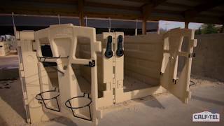 Calf Tel College Part 7  Pen System