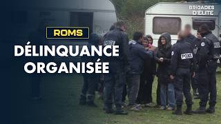 Roma and the police: theft, trafficking and disorder | Elite Brigades