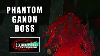 Phantom Ganon boss fight Hyrule Warriors Age of Imprisonment - How to beat Phantom Ganon