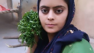 new vlog my YouTube channel #video #vlog