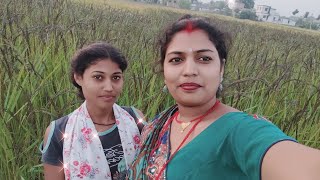 हम दोनोंबहाने खेत में आए हैं घूमने