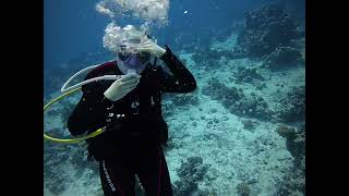Diving with my daughter in El Gouna Egypt