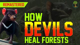 How Devils Heal Forests [HD Remastered] | Rob Brewster