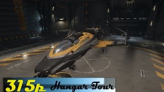 Star citizen 2.6 315p Hangar Tour