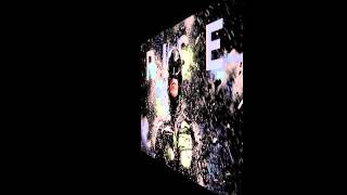 RISE by Mc Flo 2013 Freeverse Prod. AraabMuzik