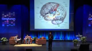 Being Human Perception  The Brain Ramachandran  Beau Lotto