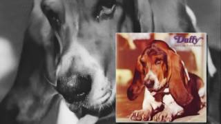 Duffy ► Don't Let Me Be Misunderstood (1971) ★ HD 720p.