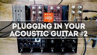 Better Plugged-In Acoustic Guitar#2: LR Baggs Align & T-Rex SoulMate Acoustic – That Pedal Show