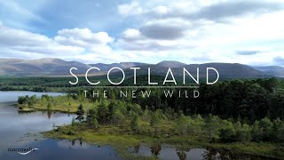 SCOTLAND THE NEW WILD || Pre-Title