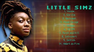 Sherbet Sunset (Instrumental)-Little Simz-Hits that resonated with millions-Cool-headed