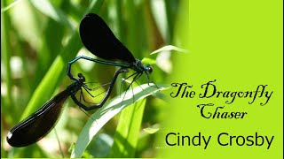 Dragonflies, Damselflies and Nature in Winter, with Cindy Crosby