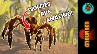 Wolf Spiders are... Amazing! | GROUNDED 2 | An Ecologist Plays | Ep.10