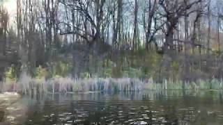 Kayaking the Bark River