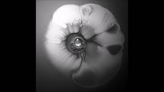 Floating Points - Ocotillo (Ambient Mix)