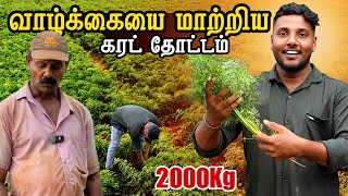 வாழ்க்கையை மாற்றிய கேரட் தோட்டம் 🥕😍 | Carrot Garden Tour in Jaffna | Pavaneesan