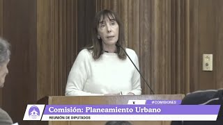 Tratamiento legislativo del CUr: por Rosa Aboy