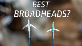 BEAST Broadheads vs EVOLUTION Hyde
