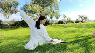 Avocation – Tai-chi