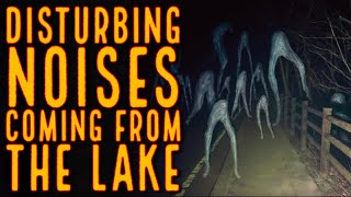 A Reddit User's Disturbing Night Camping..