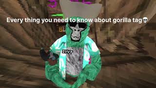 This is everything you need to know about gtag before playing:)