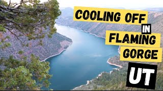 Finding Cooler Weather in Flaming Gorge (Ep. 5 Feed Us Adventures)