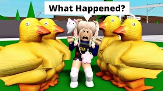 BoBoBear's Students Turned Into Ducks 😭 - Brookhaven 🏡RP