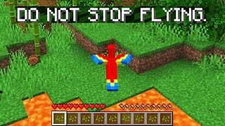 So I added a bird gamemode to minecraft...