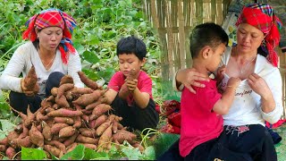 The mother and son went to harvest sweet potatoes and take them to the market to sell./Ly Thi xuan
