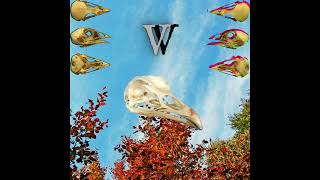 Valex Venture // NO THANKS