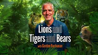 Lions, Tigers and Bears with Gordon Buchanan | 18 Feb 2026 | Town Hall Birmingham