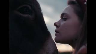 EO (trailer oficial)