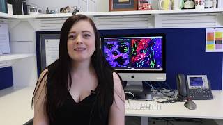 2019 Centenary Institute Medical Innovation Awards - Dr Simone Park's Application Video