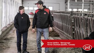 Ferme laitière - Témoignage - Ferme Chamlab (Québec, Canada)