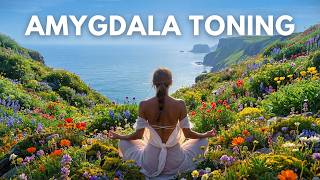 AMYGDALA TONING | 3 Hour Frequency to Calm the Fear Center & Stop Hypervigilance (4K)