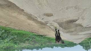 𝙸𝚝𝚊𝚗𝚒 𝙶𝚛𝚊𝚍𝚞𝚊𝚝𝚒𝚘𝚗 𝙺𝚎 𝙱𝚊𝚊𝚍 𝙱𝚒 𝙼𝚎 𝚈𝚊𝚑 𝙺𝚢𝚊 𝙺𝚊𝚝 𝚁𝚑𝚊 𝙷𝚞 🤔 #susceptance @casadeartistas