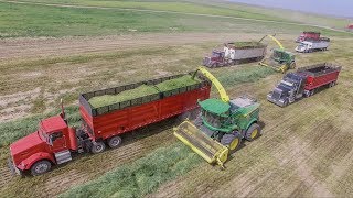 Friesen Harvesting - Spring 2017