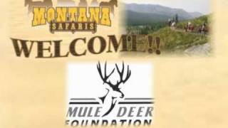Montana Safaris