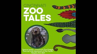 New Beginnings: Meet Sea Otters Chloe and Kevin