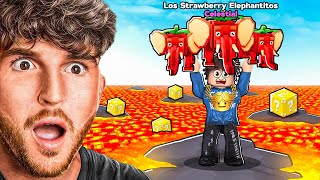I Got The Los Strawberry Elephantitos..