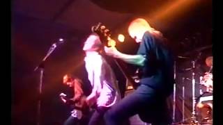 Oil Seed Rape - Live Mons Belgium 24.04.94