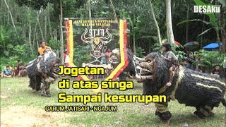 Joget di atas singa sampai kesurupan Seni Budaya Bantengan Patuk sari