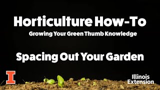 Horticulture How To - Spacing Out Your Garden Bed