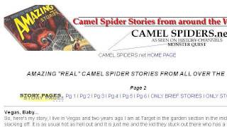 Care Of A Camel Spider